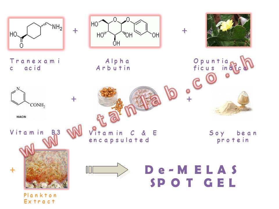 DeMelasGel