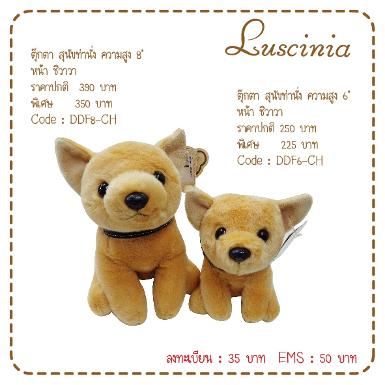  ตุ๊กตาสุนัข หน้าชิวาวา 