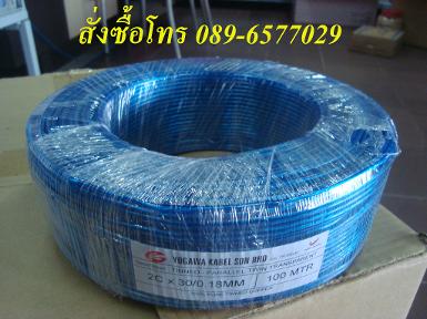 W4 - YOGAWA SPEAKER WIRE 30 BLUE