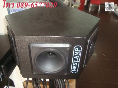 D12 HEXA NEST AMP with NEST AMP NX10 TWEETER 