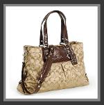 กระเป๋า coach