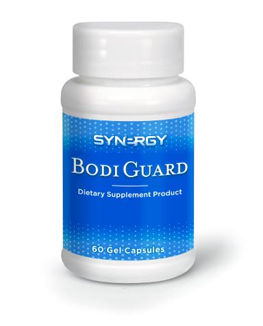 Bodi Guard (บอดี้การ์ด)