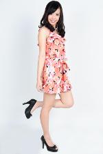 Rose Summer Mini Dress