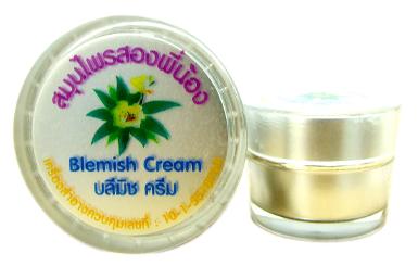 Blemish Cream บลีมิชครีม เครื่องสำอางควบคุมเลขที่ 10-1-5518945