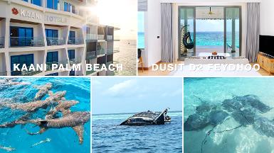 DUSIT D2 FEYDHOO + KAANI PALM BEACH, MAAFUSHI