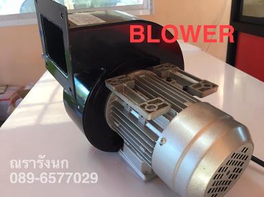 BLOWER 120W พัดลมหอยโข่ง