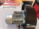 BLOWER 120W  พัดลมหอยโข่ง