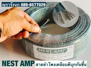 W5-NEST AMP SPEAKER WIRE 30 BLUE