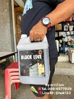 BLACK LOVE  ฮอร์โมนปรับสภาพตึกใหม่ ดับกลิ่นปูน