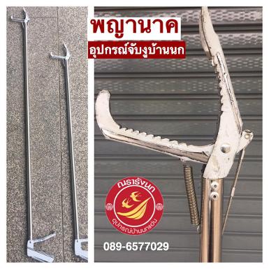 เครื่องมือจับงู (พญานาค)Snake Clip