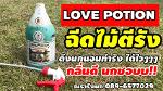 G11 LOVE POTION AROMA 2L